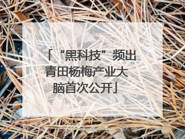 “黑科技”频出 青田杨梅产业大脑首次公开