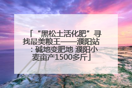 “黑松土活化肥”寻找最美粮王——濮阳站：碱地变肥地 濮阳小麦亩产1500多斤