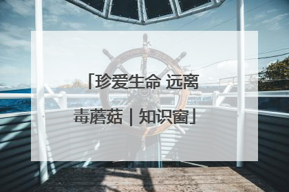 珍爱生命 远离毒蘑菇｜知识窗