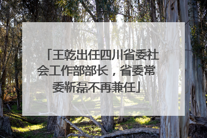 王乾出任四川省委社会工作部部长，省委常委靳磊不再兼任
