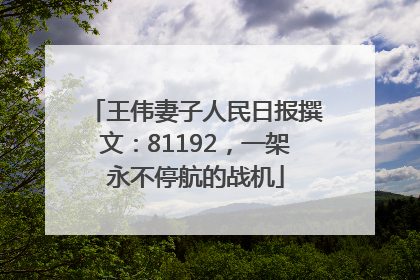 王伟妻子人民日报撰文：81192，一架永不停航的战机