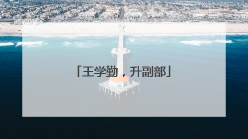 王学勤，升副部