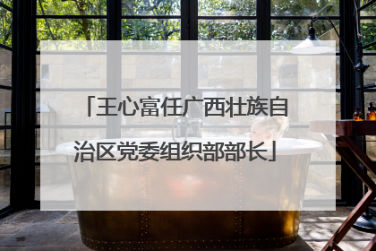 王心富任广西壮族自治区党委组织部部长