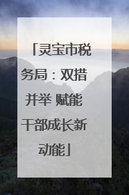 灵宝市税务局：双措并举 赋能干部成长新动能