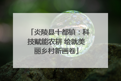 炎陵县十都镇：科技赋能农耕 绘就美丽乡村新画卷