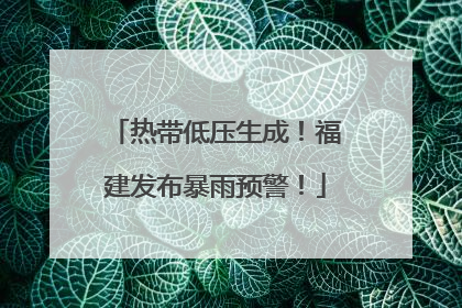 热带低压生成！福建发布暴雨预警！