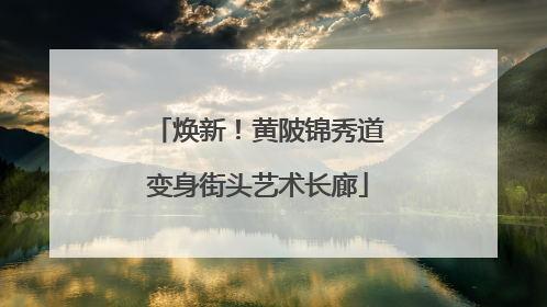 焕新！黄陂锦秀道变身街头艺术长廊