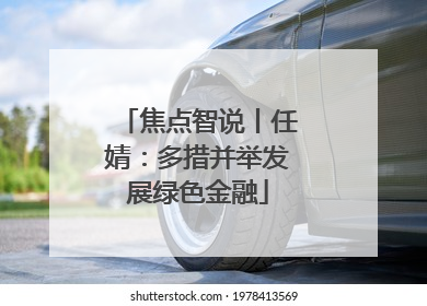 焦点智说丨任婧：多措并举发展绿色金融