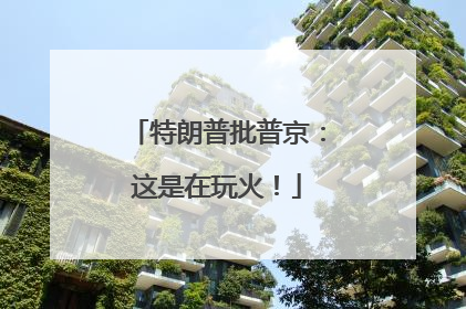 特朗普批普京：这是在玩火！