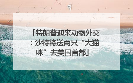 特朗普迎来动物外交：沙特将送两只“大猫咪”去美国首都