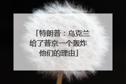 特朗普：乌克兰给了普京一个轰炸他们的理由
