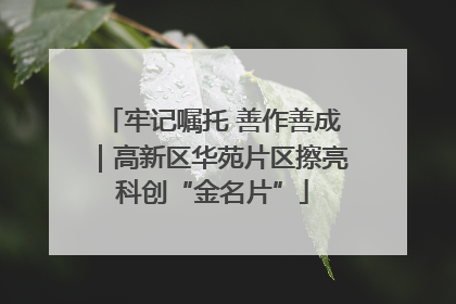 牢记嘱托 善作善成｜高新区华苑片区擦亮科创“金名片”
