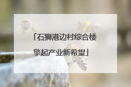石狮港边村综合楼擎起产业新希望