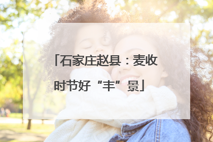 石家庄赵县：麦收时节好“丰”景