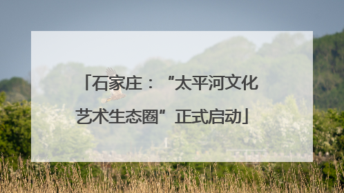石家庄：“太平河文化艺术生态圈”正式启动