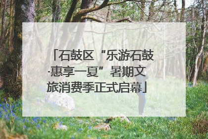 石鼓区“乐游石鼓·惠享一夏”暑期文旅消费季正式启幕