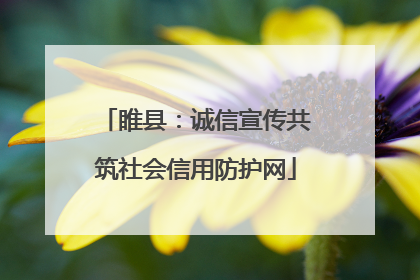 睢县：诚信宣传共筑社会信用防护网