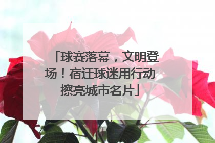 球赛落幕，文明登场！宿迁球迷用行动擦亮城市名片