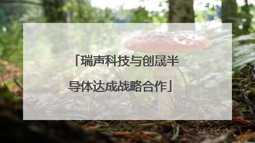 瑞声科技与创晟半导体达成战略合作