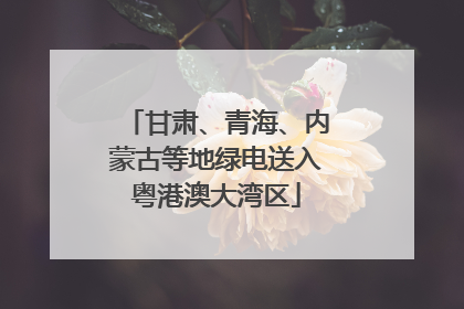 甘肃、青海、内蒙古等地绿电送入粤港澳大湾区