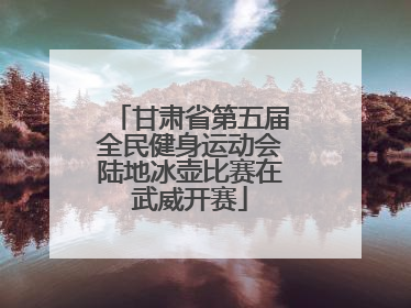 甘肃省第五届全民健身运动会陆地冰壶比赛在武威开赛