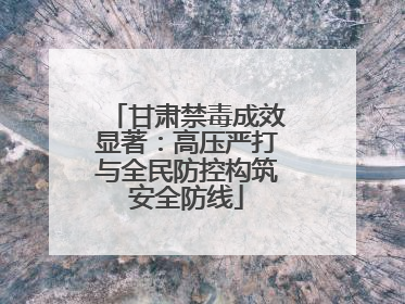 甘肃禁毒成效显著：高压严打与全民防控构筑安全防线