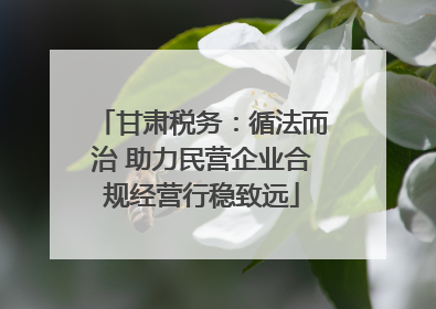 甘肃税务：循法而治 助力民营企业合规经营行稳致远