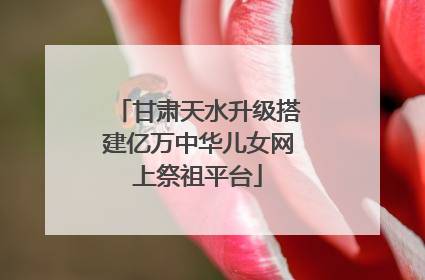 甘肃天水升级搭建亿万中华儿女网上祭祖平台