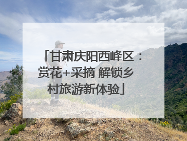 甘肃庆阳西峰区：赏花+采摘 解锁乡村旅游新体验