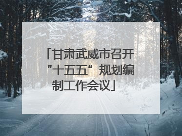 甘肃武威市召开“十五五”规划编制工作会议