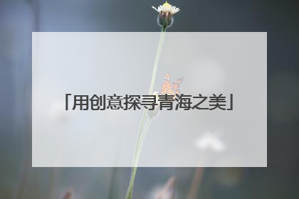 用创意探寻青海之美