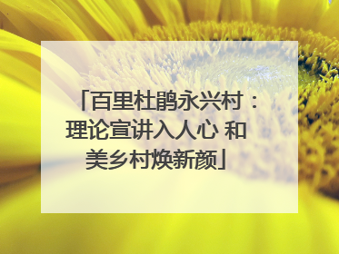 百里杜鹃永兴村：理论宣讲入人心 和美乡村焕新颜