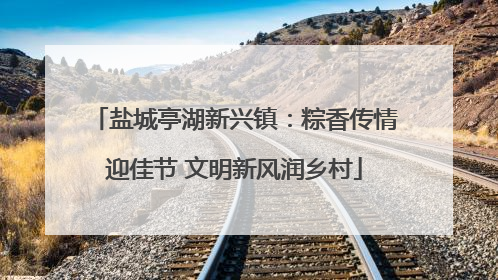 盐城亭湖新兴镇：粽香传情迎佳节 文明新风润乡村