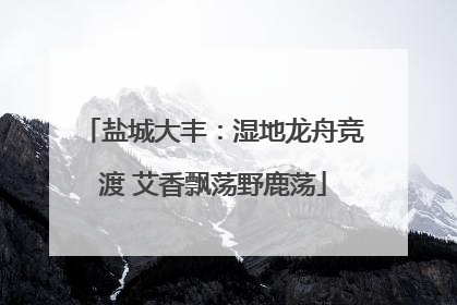 盐城大丰：湿地龙舟竞渡 艾香飘荡野鹿荡