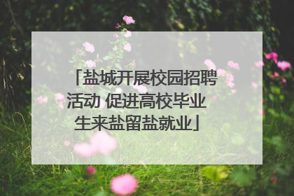 盐城开展校园招聘活动 促进高校毕业生来盐留盐就业