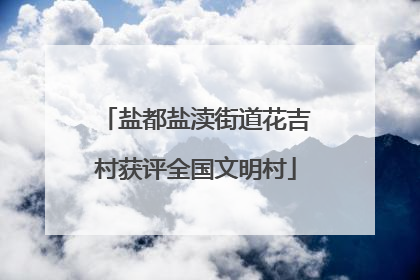 盐都盐渎街道花吉村获评全国文明村