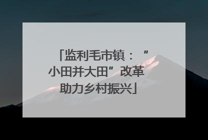 监利毛市镇：“小田并大田”改革 助力乡村振兴