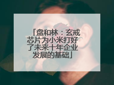 盘和林：玄戒芯片为小米打好了未来十年企业发展的基础