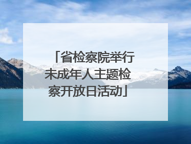 省检察院举行未成年人主题检察开放日活动