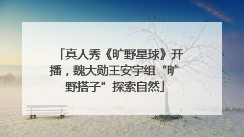 真人秀《旷野星球》开播，魏大勋王安宇组“旷野搭子”探索自然