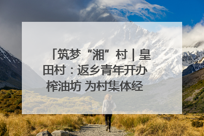 筑梦“湘”村｜皇田村：返乡青年开办榨油坊 为村集体经济“加油”