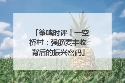 筝鸣时评丨一空桥村：强筋麦丰收背后的振兴密码