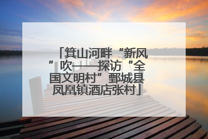 箕山河畔“新风”吹——探访“全国文明村”鄄城县凤凰镇酒店张村