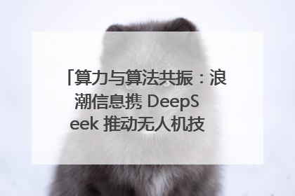 算力与算法共振：浪潮信息携 DeepSeek 推动无人机技术在舟山落地