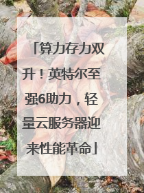 算力存力双升！英特尔至强6助力，轻量云服务器迎来性能革命