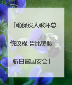 确保没人破坏总统议程 鲁比奥腰斩白宫国安会