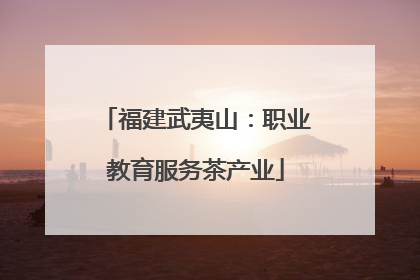 福建武夷山：职业教育服务茶产业