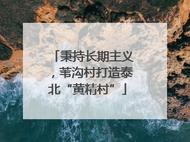 秉持长期主义，苇沟村打造泰北“黄精村”