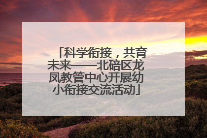科学衔接，共育未来——北碚区龙凤教管中心开展幼小衔接交流活动