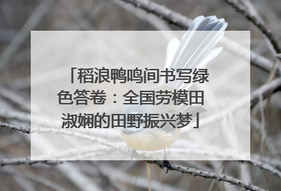 稻浪鸭鸣间书写绿色答卷：全国劳模田淑娴的田野振兴梦